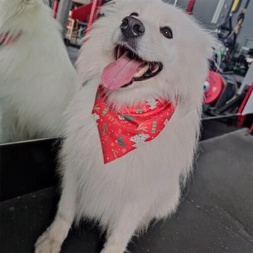 MZHQ Clothes And Footwear For Dogs