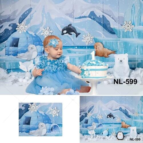 Christmas Winter Frozen Backdrop The North Pole Bear Penguin Safari Iceberg Snowflake Newborn Birthday Photography Background