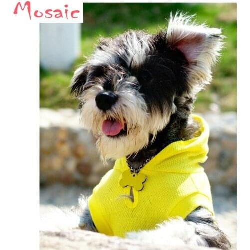 Diamond painting J"Schnauzer,Cute Pet Dogs"Animal,Diy Diamond mosaic Cross Stitch,Square Diamond Embroidery 5d puzzles