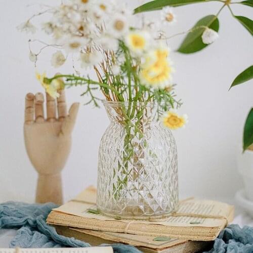 Classic Multicololr Glass Vases Flower Pot Basket Bottles Decoration Home Nordic Dried Flowers Transparent Hydroponic Bottles