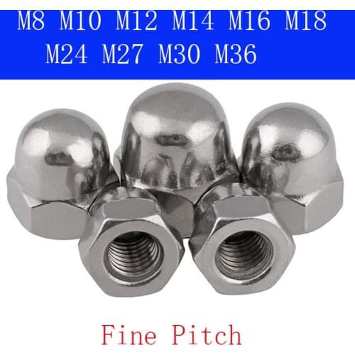 M8 M10 M12 M14 M16 M18 M20 M24 M27 M30 M36 Fine Pitch Hexagon Cap Nuts Hex Acorn Nuts 304 Stainless Steel DIN 1587