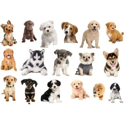 Vivid Doggy Dog image wall decals cute 3d Puppy vinyl mural stickers home pet shop decoration cartoon poster wallpaper 90*60cm