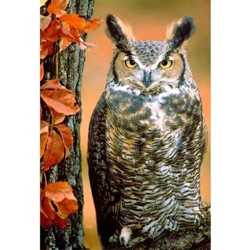 ARMYQZForest owl DIY round diamond square diamond diamond painting 5D mosaic animal bird picture embroidery art living room deco