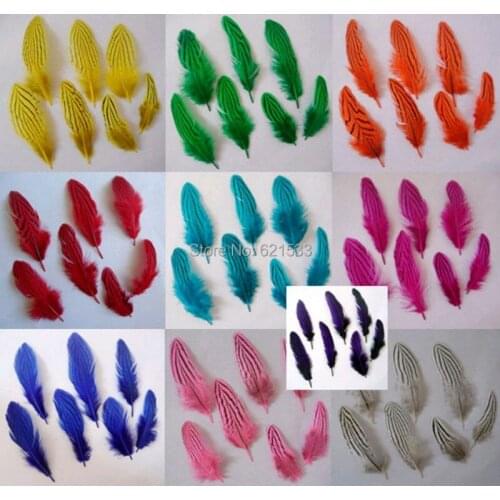 200Pcs/lot!7-10cm Multicolor Small Silver Pheasant Feathers,Exotic Natural Pheasant Feathers for Millinery 9Colours Available