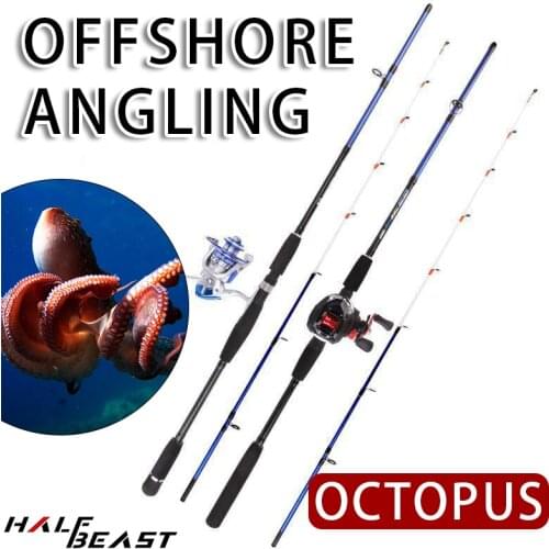 Casting Spinning Rod 1.6m Jigging Rod with Reel Wheel Fishing Gear Offshore Angling Carp Squid Tackle Ultra Light Boat Lure Pole