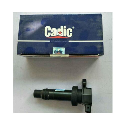 OEM 27301-2B010 Ignition System for HYUNDAI