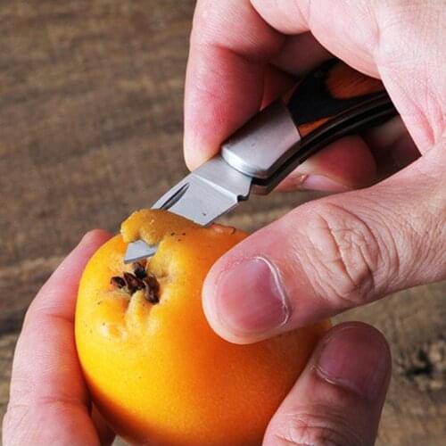 Pocket Mini Blade Fold Key Ring Portable Outdoor Camping Knife Keychain Gadget Peeler Opener EDC Survival Multi Tools