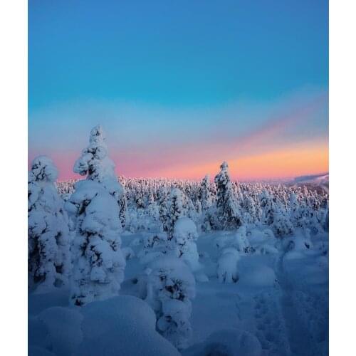 《Snow forest》 picture painting by numbers home decor birthday present quadros decorativos