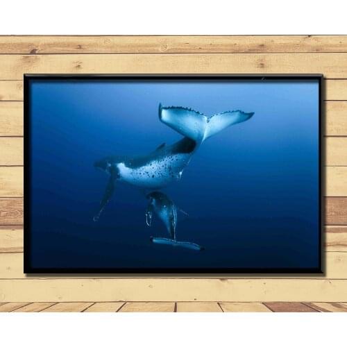 Humpback Whale Ferocious Giant Marine Animal (3) Wall Posters Prints Silk Art Painting For Home Wall Bedroom Decor