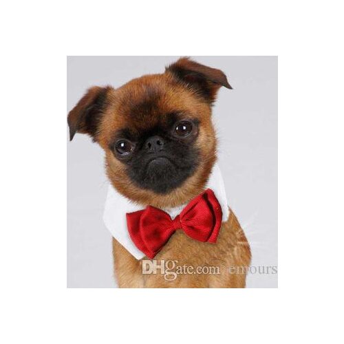 Formal Pet Bow Tie Holliday Wedding Dog Collar Clothing Costume Accessories Black Red for Small Medium Cats s Pets