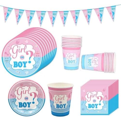 33Pcs/set Boy or Girl Pink Blue Disposable Tableware Plates Cups Napkins Birthday Baby Shower Decor Gender Reveal Party Supplies