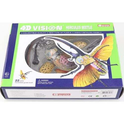 Hercules beetle medical teaching model 4D MASTER puzzle assembly toy simulation animal biological organ anatomy