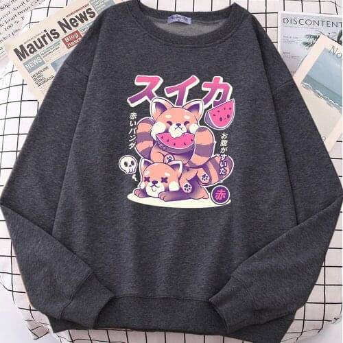 Tanuki Eating Watermelon Hoodies Male Fashion Comics Sweatshirt Casual Aesthetic Clothing For Male Autumn Comfortable Tracksuit