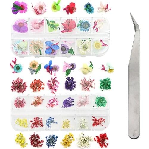 3Pcs/set Pressed Dried Flower Hand-made Plant True Flower Mobile Phone Shell Material Home Decoration Party Supply,1Yc10803