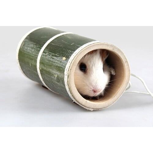 Hokerbat Rodent Tunnels
