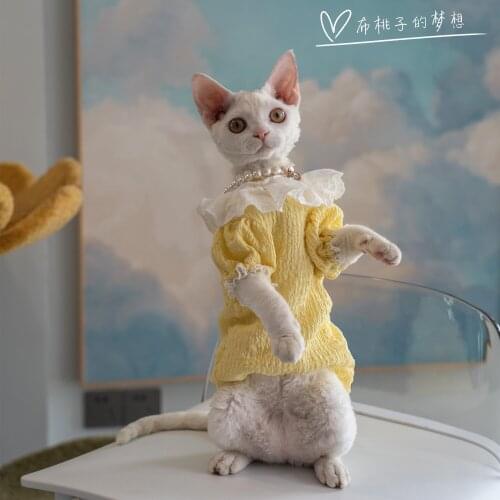Hairless cat German cat clothes summer doll collar baby shirt light and breathable blue cat