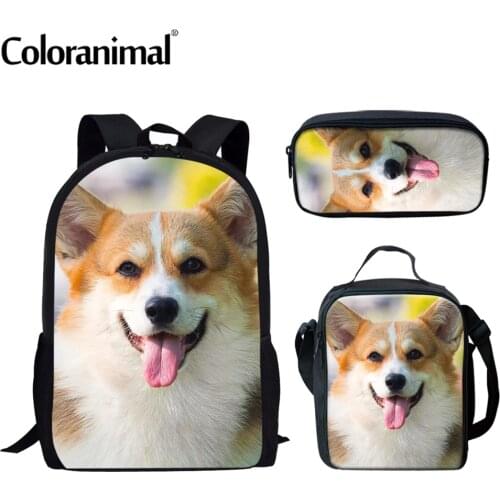 Coloranimal Backpacks For Boys