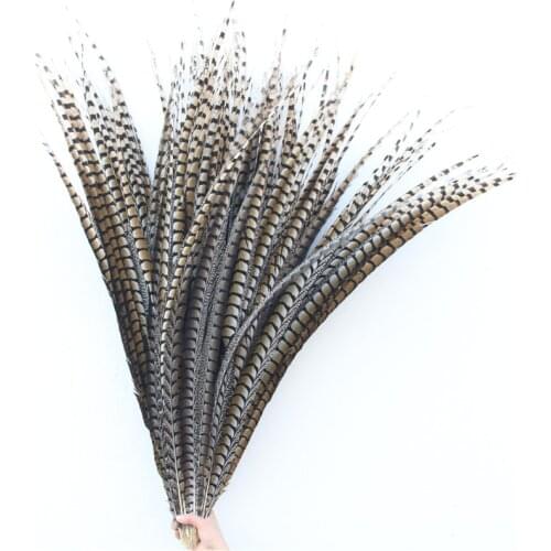 Factory 20-100pcs/lot High Quality Lady Amherst Pheasant Tail Feathers 95-105cm 38-42inch Christmas Wedding DIY Plume