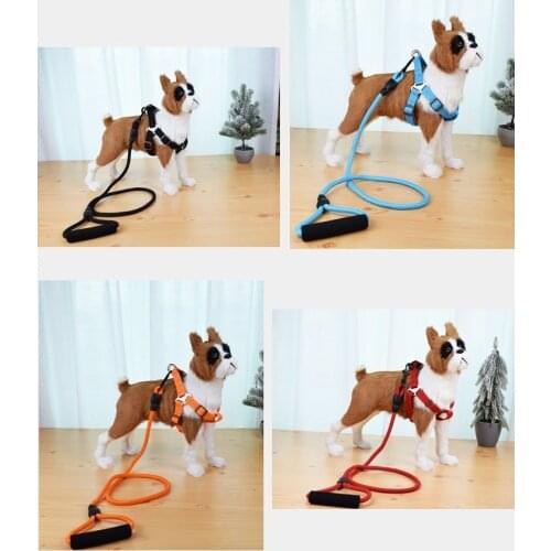 2021 Monochrome Pet Dog Collar Harness Leash Soft Pet Cat Walking Harness Lead Colorful and Durable Traction Rope Nylon 120cm