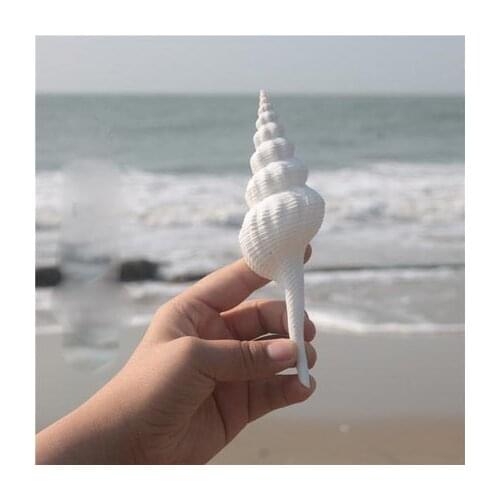 Natural conch shells white law spiral fish tank aquarium landscaping shooting props ornaments home decoration