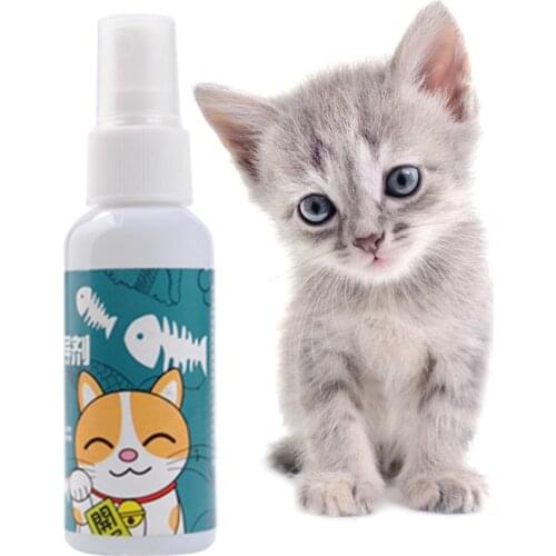 50ml Cat Catnip Spray Pet Training Toy Natural Healthy CatMint Funny Scratch Toy