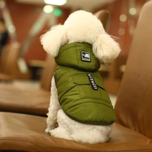 New Autumn/Winter Dog Clothing Two Leg Down Coat Waterproof Pet Cotton Vest Cap Detachable