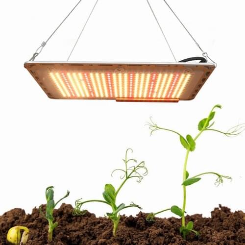 LED Grow Light Samsung 5730 1000W Quantum Sunlike Full Spectrum Phyto Lamp For Greenhouse Plant Growth Lighting