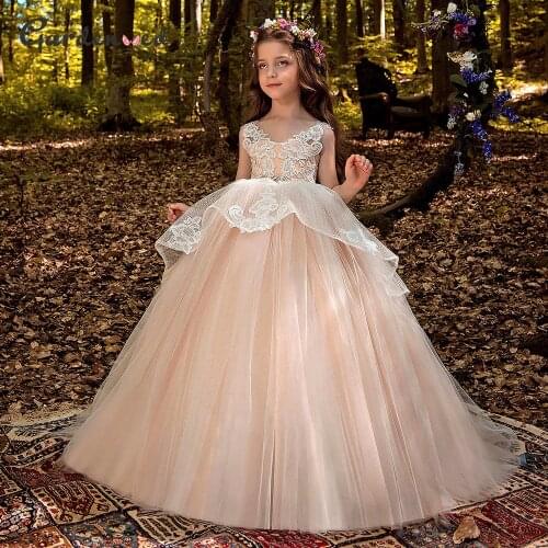 Blush Princess Girl Dress Lace Flower Girl Dresses Puffy Tulle Children Dresses 2021 Crystal Belt Girl Gowns