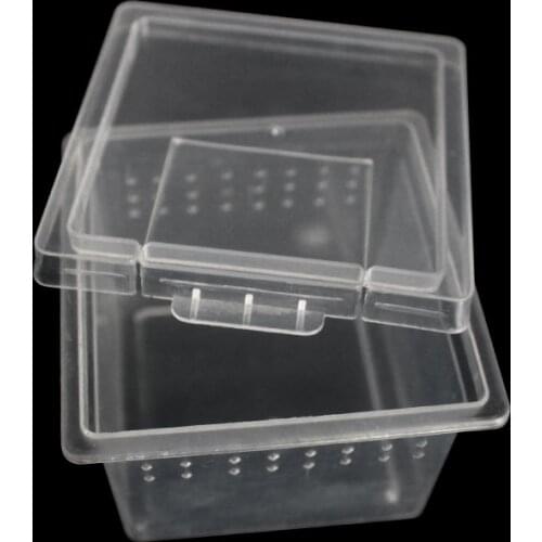 Feeding Box Reptile Cage Hatching Container Rearing Tank for Lizards Terrarium Tortoise Spider Beetle Insect House
