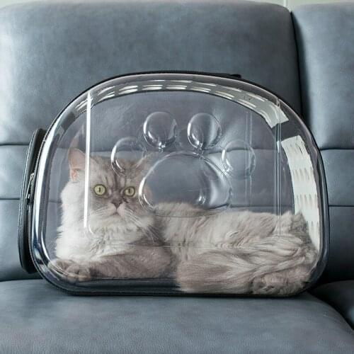 Outdoor Transparent Pet Bag Fashion Cat Bags Oblique Cross Pet Washable Four Seasons Universal Comfortable For Cats Handbag