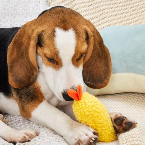 WANGUPET Toys For Cats