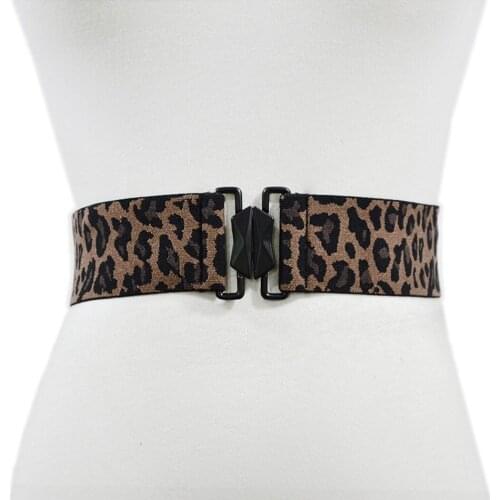 Women Cummerbunds Leopard Stretch Belt Fashion Skinny Waist Belt Elastic Canvas Belt Waist Slimming girdle Belt for Dress