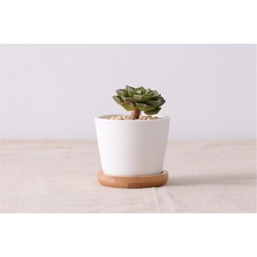 Cute White Ceramic Small Cylinder shape Flower Pot with Bamboo tray,Table Small Succulents Flowerpot Green Planter Home Decor