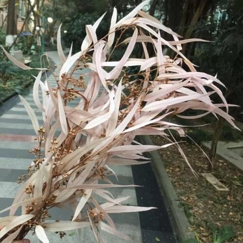 60g/30-40cm,Natural Preserved Eucalyptus Leaves Bouquet,Eternal Display Arrange Flowers for Wedding Home Decoration Accessories