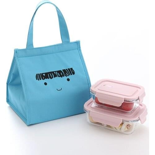 Cartoon Insulated Lunch Bag For Kids Women Waterproof Oxford Cloth Portable Cooler Bag Ice Pack For Work Picnic
