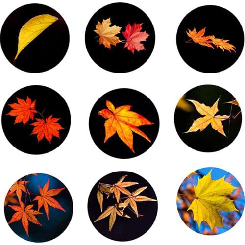 FLTMRH 12mm 14mm 16mm 20mm 25mm 30mm 629 Golden Leaves Mix Round Glass Cabochon Jewelry Finding