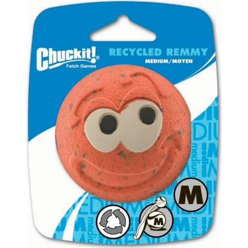 Recycled Remmy Ball Dog Toy Medium