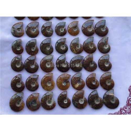 63 New Find NATURAL Cretaceous AMMONITE FOSSIL SPECIMEN 950g