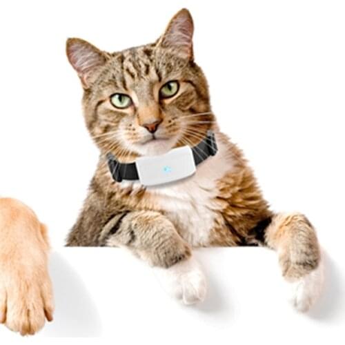 WiFi+GPS+LBS positioning adsorption charging TK911 cat and dog pets gps tracker