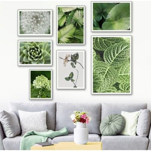 Flower Dandelion Succulents Green Plant Wall Art Canvas Painting Nordic Posters And Prints Wall Pictures For Living Room Decor