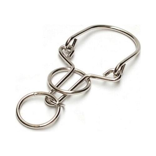 Primary-level IQ Metal Wire Puzzle for Children Adults