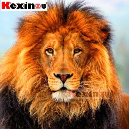 Full Square/Round 5D DIY Diamond Painting"Male lion"3d Embroidery Kit Cross Stitch Rhinestone Mosaic Home Decor Gift Y044673