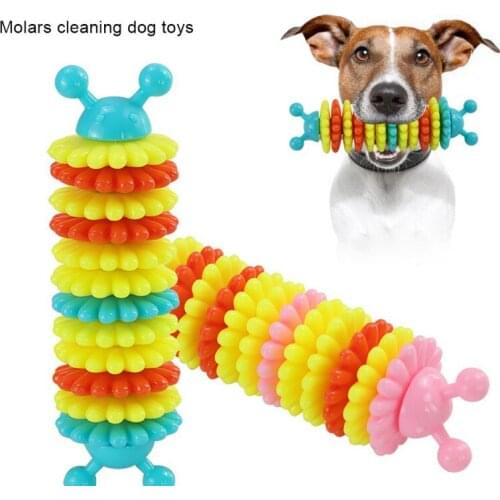 Pet Creative Bite Toys Bite Resistant Teeth Cleaning Leaking Dog