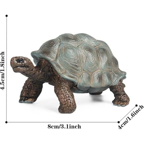 Boys Girls Teaching Aids Early Educational School Project Gifts Kindergarten Animal Figurine Toy For Kids Amphibian Simulation