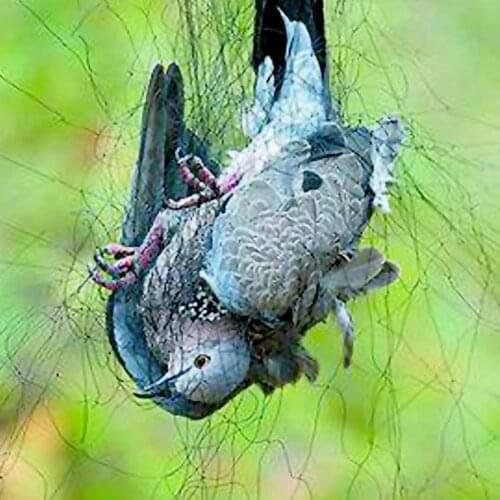 Навесы Behogar China At AliExpress