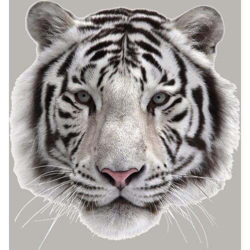 White Tiger Patch A-Level Washable Garment Diy Thermal Transfer Stripe Custom Patch Simulation Animal Stickers