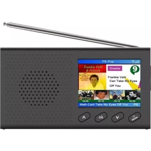Mini Portable DAB Receiver FM Radio Bluetooth 4.2 Music Player Support 3.5mm Stereo Audio Output Function