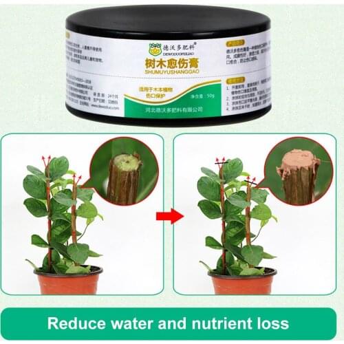 Tree Wound Bonsai Pruning Cutting Paste Tree Pruning Sealer Pruning Compound For Garden Plant Grafting Treatment