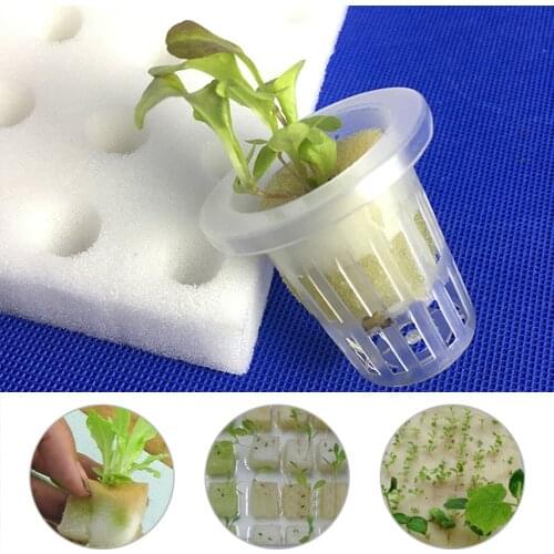 SOLEDI Seedling Pots