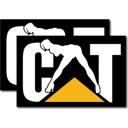 2X CAT WOMAN DECAL STICKER 3M US MADE VEHICLE WINDOW CAR TRUCK TRACTOR EQUIPMENT Car Sticker Windshield Bumper Motorcycle Decal